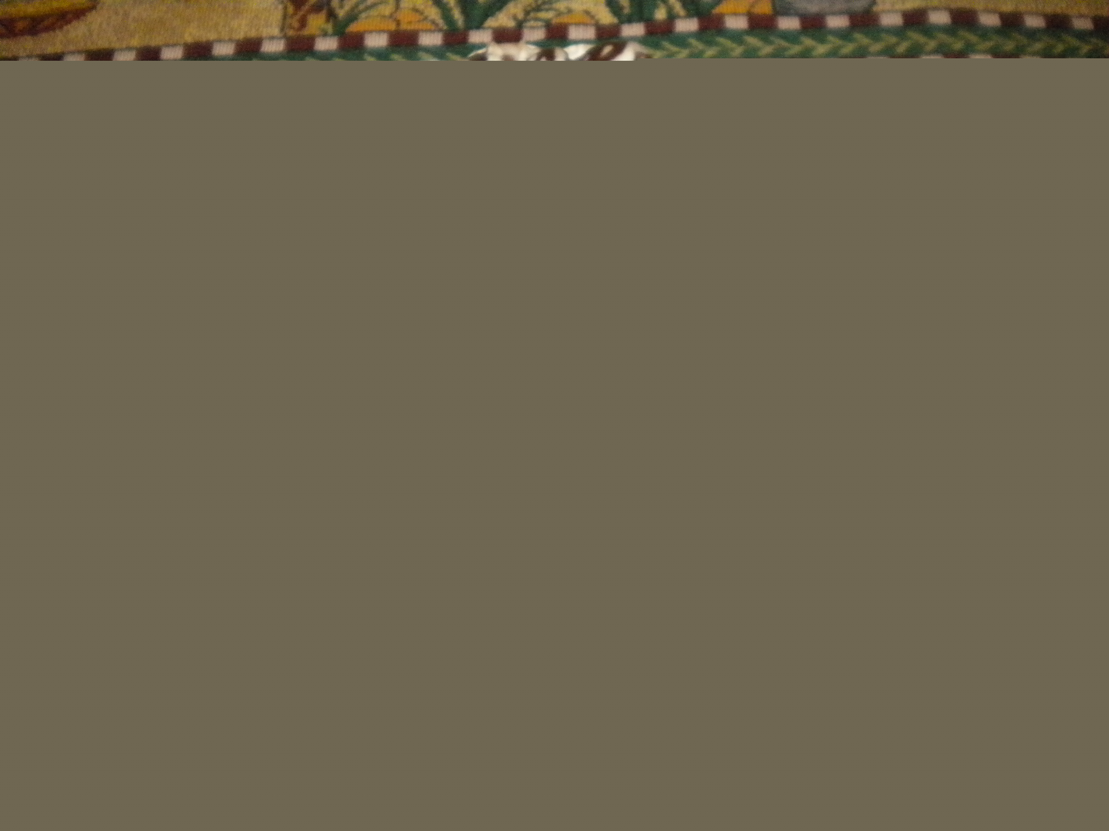 DSCN0218.JPG